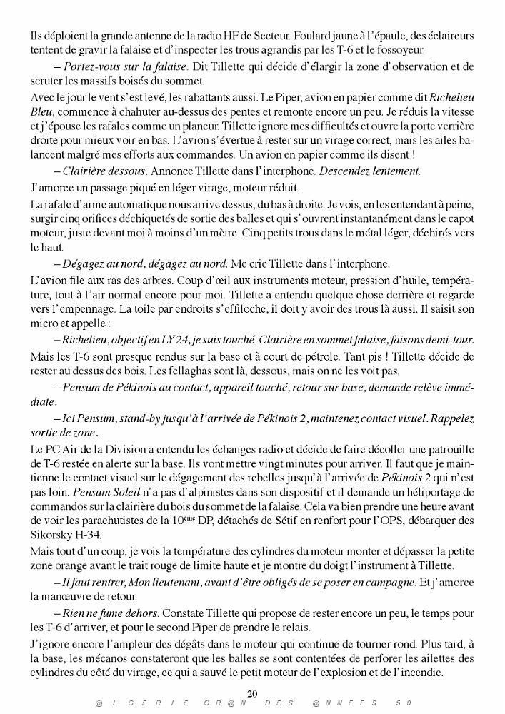 403-PEKINOIS VERT - MICHEL BUAILLON (24).jpg